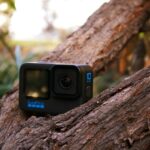 a camera sitting on top of a tree branch